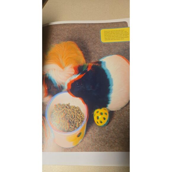 Eye-Popping 3-D Pets Phantogram Animal You Can Practically Pet Like New Hardback - Picture 4 of 6